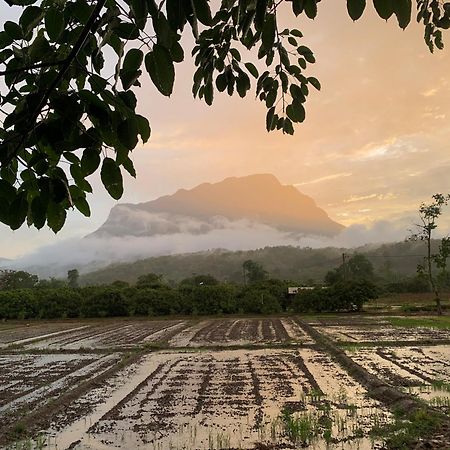 فندق Krathom Doi Luang تْشينغْ داوْ المظهر الخارجي الصورة