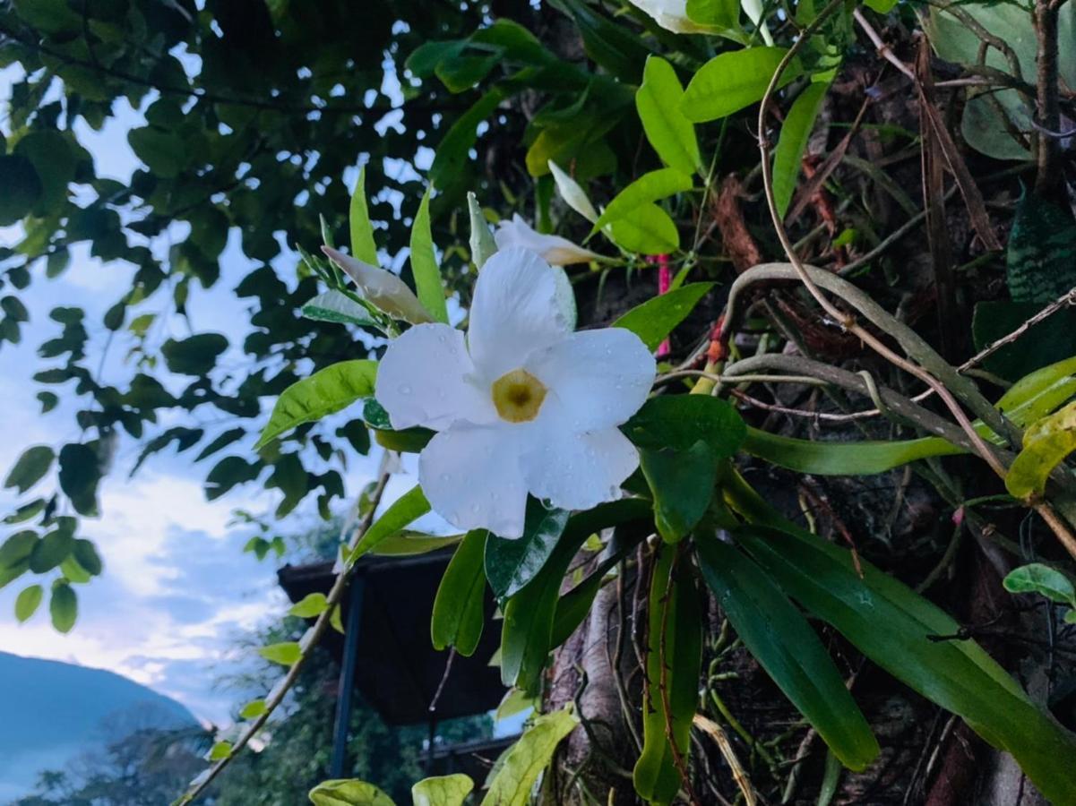 فندق Krathom Doi Luang تْشينغْ داوْ المظهر الخارجي الصورة
