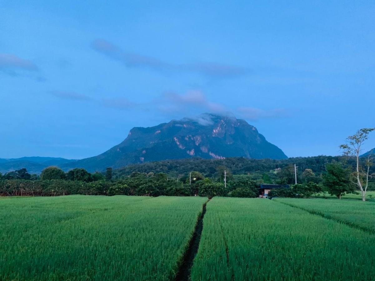فندق Krathom Doi Luang تْشينغْ داوْ المظهر الخارجي الصورة