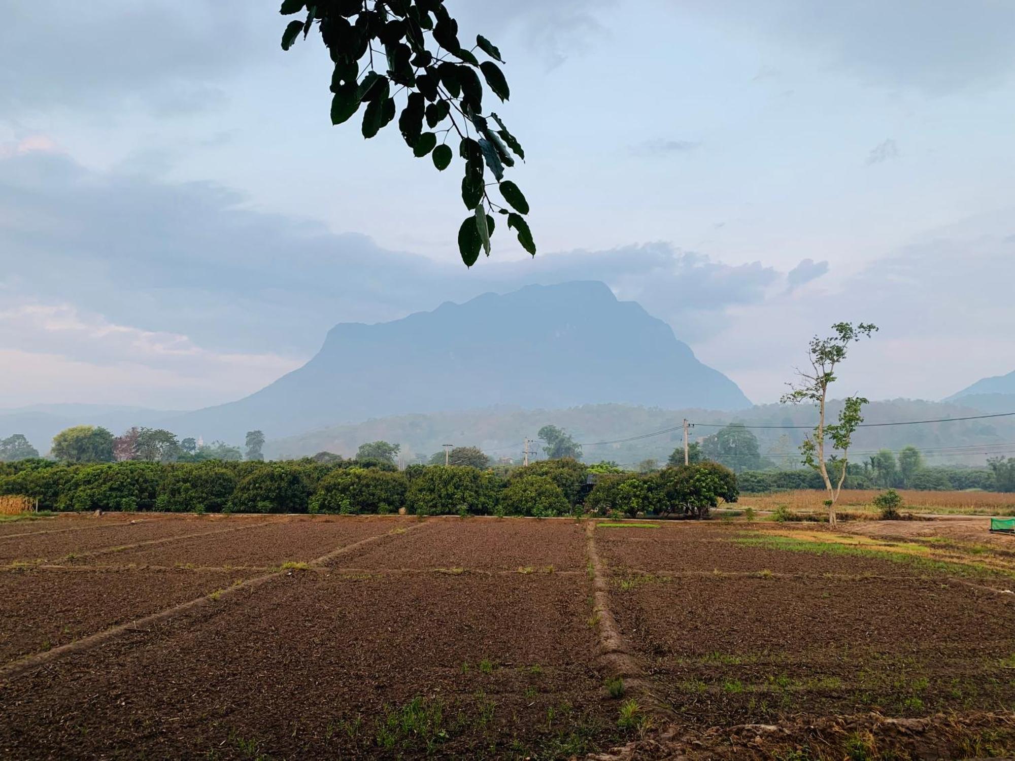 فندق Krathom Doi Luang تْشينغْ داوْ المظهر الخارجي الصورة