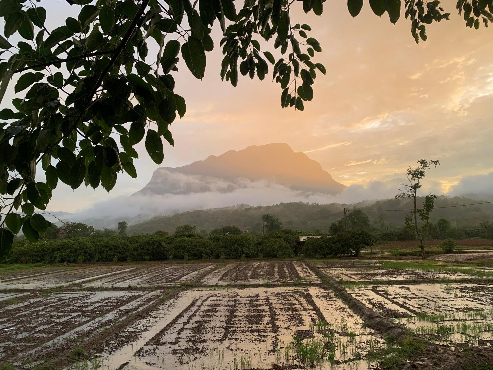 فندق Krathom Doi Luang تْشينغْ داوْ المظهر الخارجي الصورة
